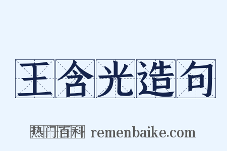王含光造句是什么意思的图片